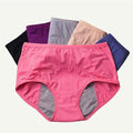 LEAK-PROOF PERIOD PANTIES (3 PCS)