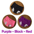 LEAK-PROOF PERIOD PANTIES (3 PCS)