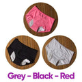 LEAK-PROOF PERIOD PANTIES (3 PCS)