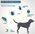 DEWEL™ PRO GUARD FLEA AND TICK COLLAR FOR DOGS