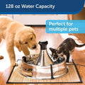 PetSafe Water Fountain