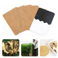 Amazing Herbal Ginger Patch